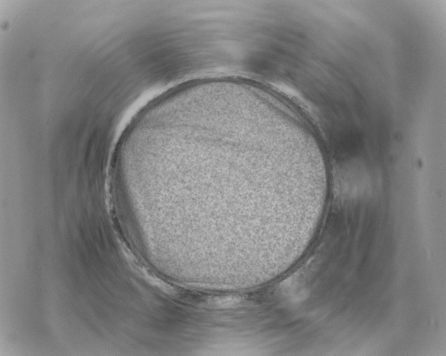 X0000070371278200607072119