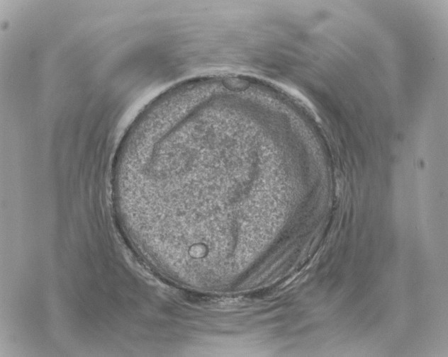 X0000070371279200607072119