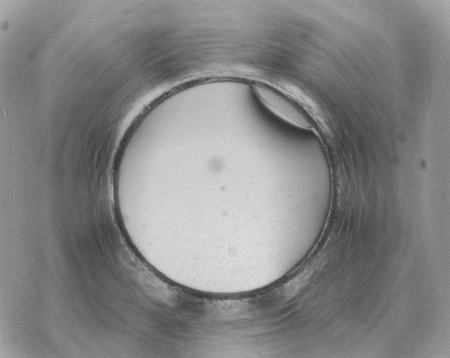 X0000070371280200607072119