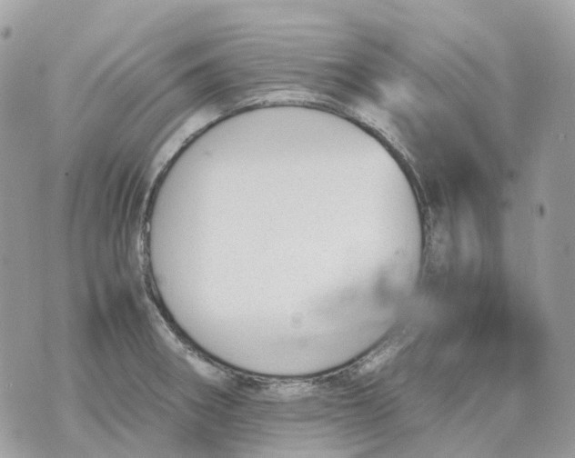 X0000070371282200607072119