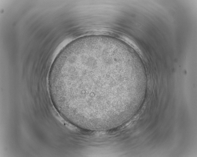 X0000070371283200607072119