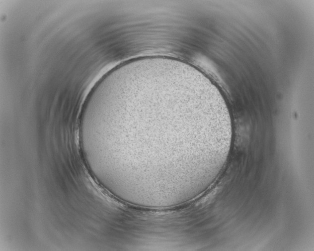 X0000070371284200607072119