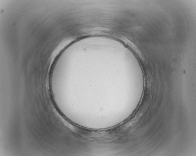 X0000070371285200607072119