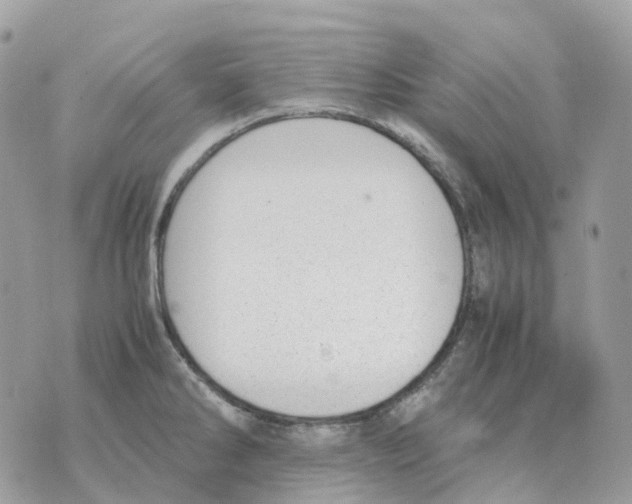 X0000070371286200607072119