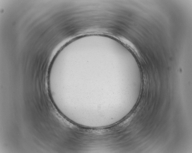 X0000070371288200607072119