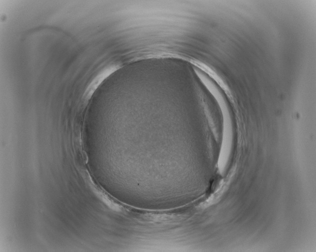 X0000070371289200607072119