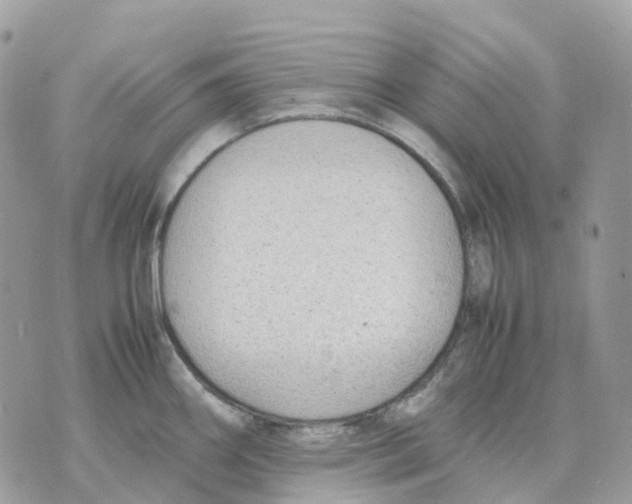 X0000070371290200607072119