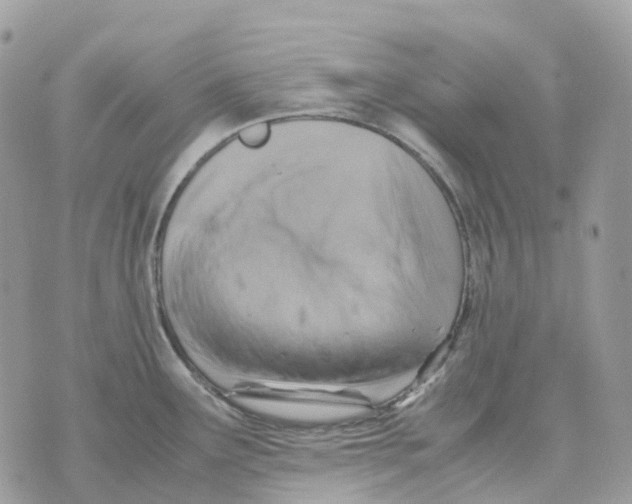 X0000070371291200607072119