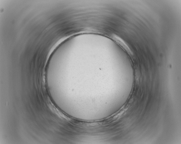 X0000070371292200607072119