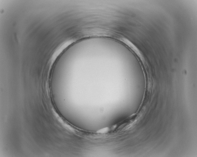 X0000070371293200607072119