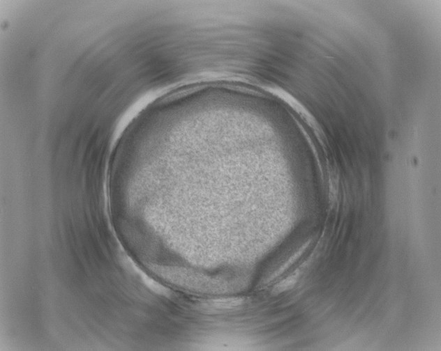 X0000070371294200607072119