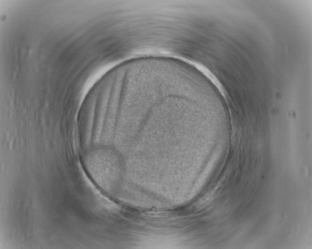 X0000070371295200607072119