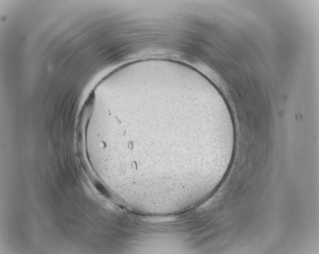 X0000070371296200607072119