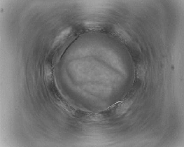 X0000070371298200607072118