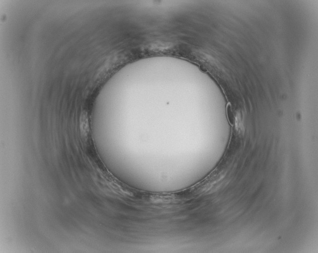 X0000070371299200607072118