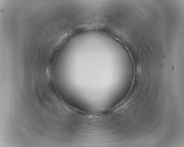 X0000070371300200607072118