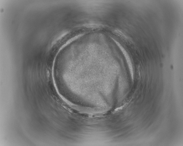 X0000070371302200607072118