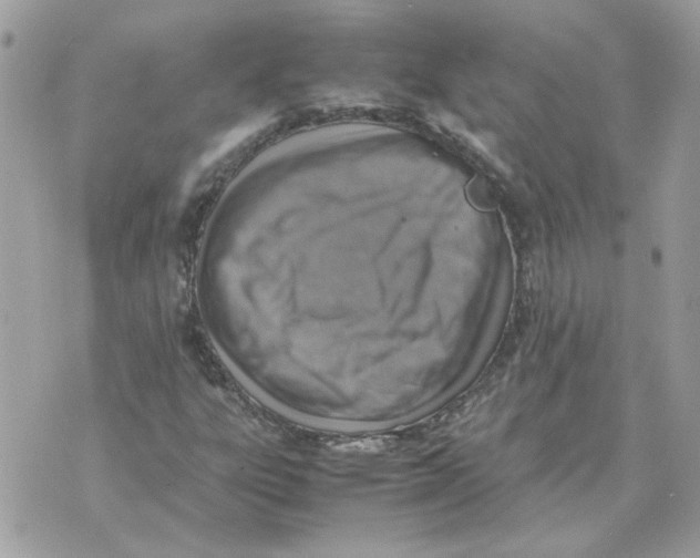 X0000070371303200607072118