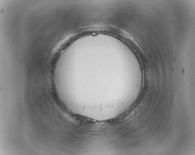 X0000070371304200607072118