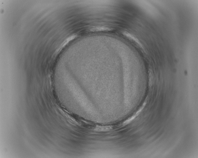 X0000070371305200607072118