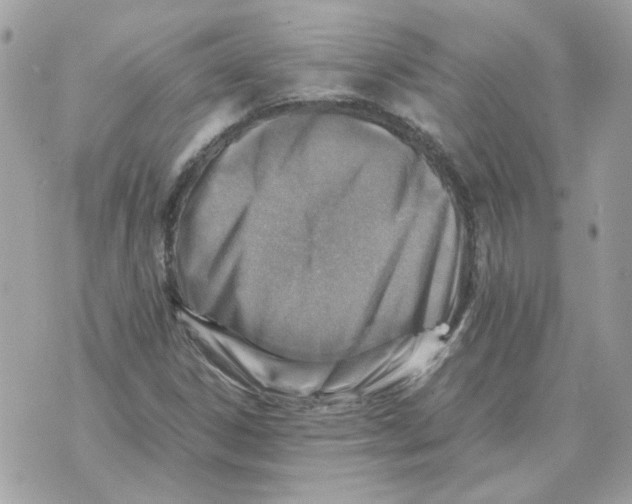 X0000070371306200607072118