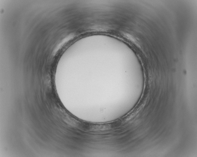 X0000070371307200607072118