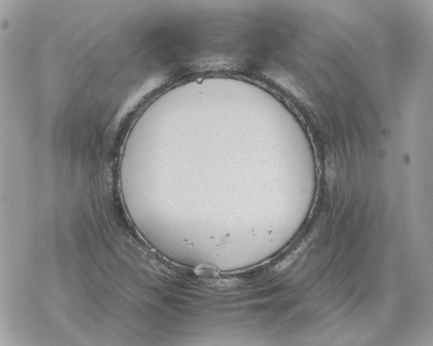 X0000070371309200607072118