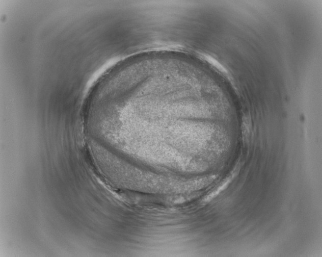 X0000070371310200607072118