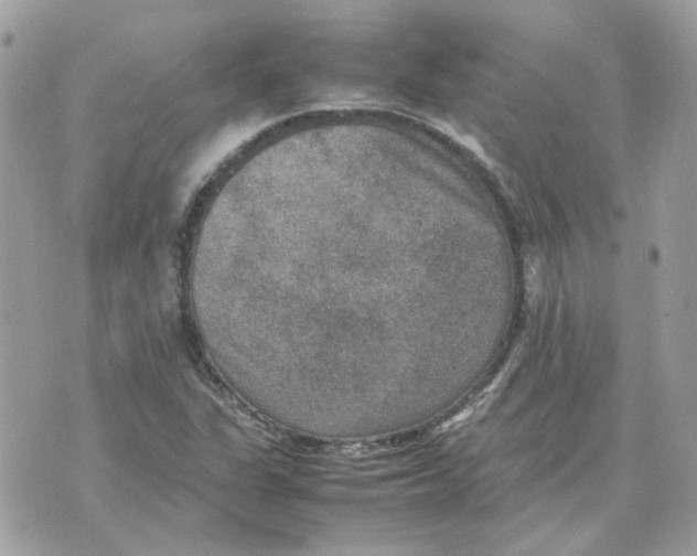 X0000070371311200607072118