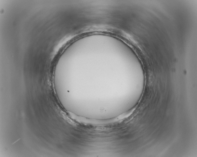 X0000070371312200607072118