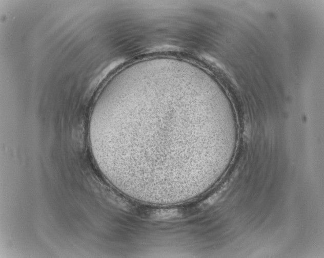 X0000070371313200607072118