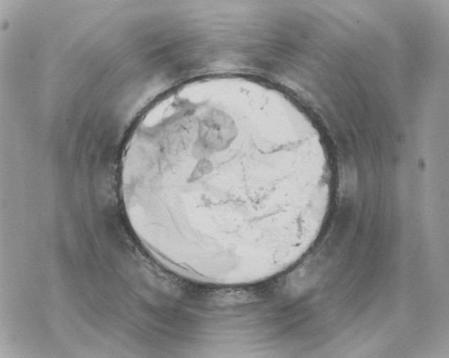 X0000070371314200607072118