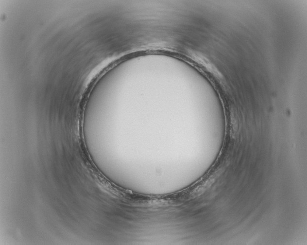 X0000070371316200607072118