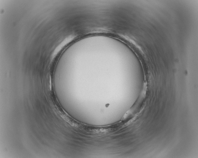 X0000070371317200607072118