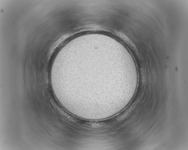 X0000070371318200607072118