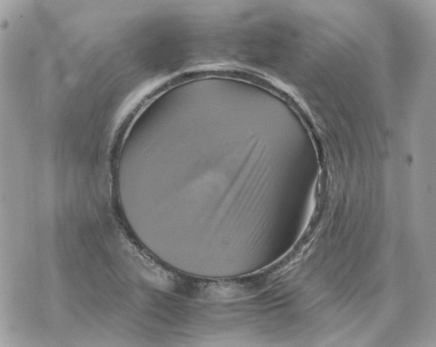 X0000070371319200607072118