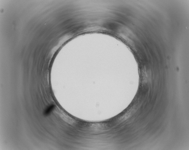 X0000070371322200607072118