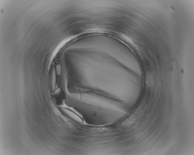 X0000070371323200607072118