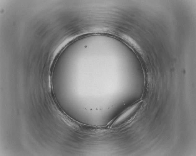 X0000070371324200607072118