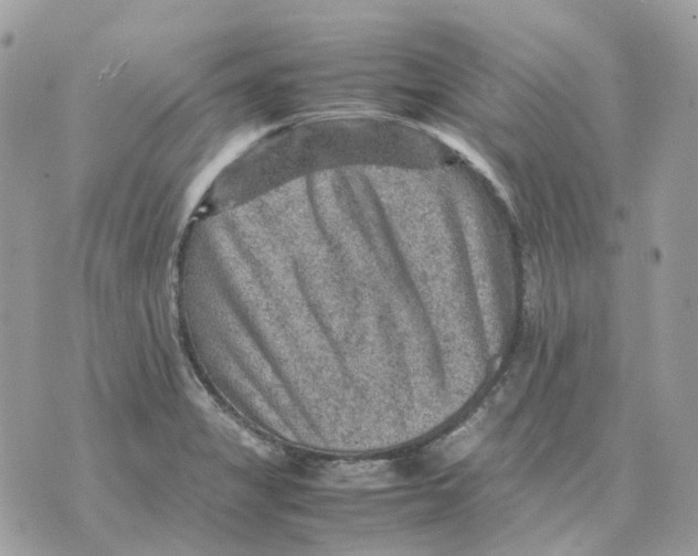 X0000070371325200607072118