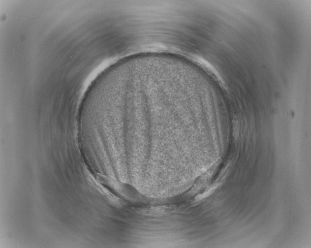 X0000070371326200607072119