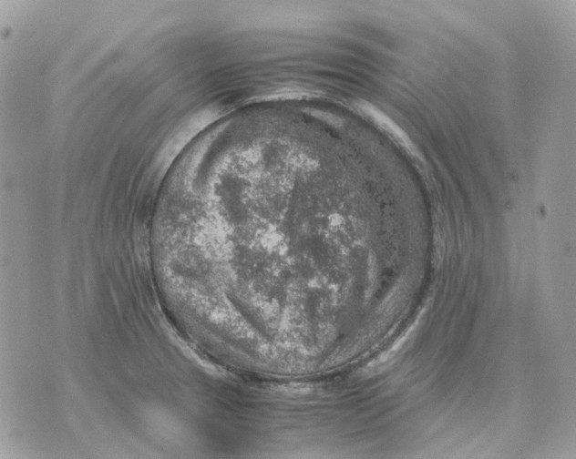 X0000070371329200607072119