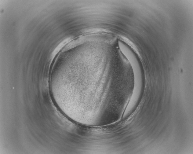 X0000070371330200607072119