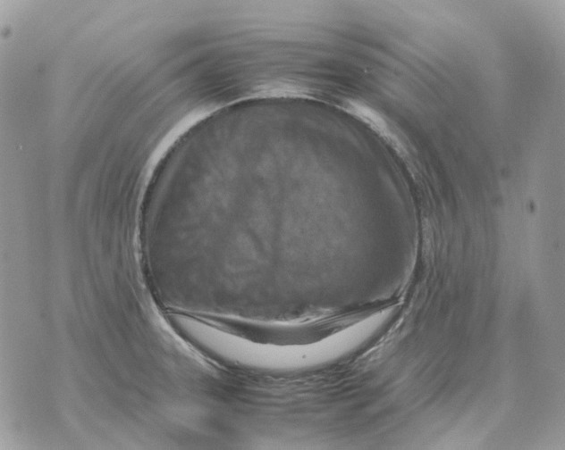 X0000070371331200607072119