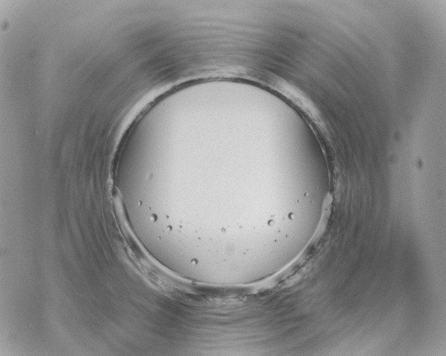 X0000070371332200607072119