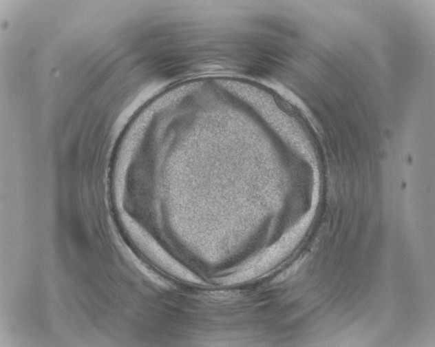 X0000070371333200607072119