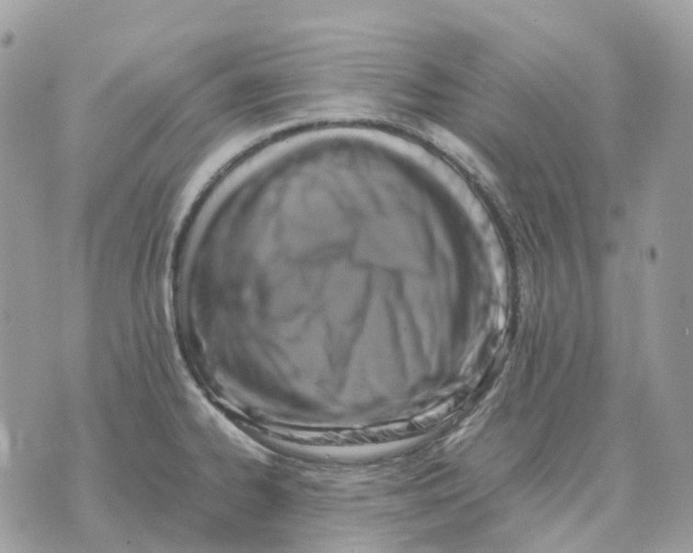 X0000070371334200607072119