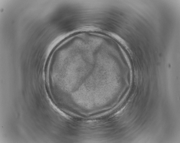 X0000070371335200607072119