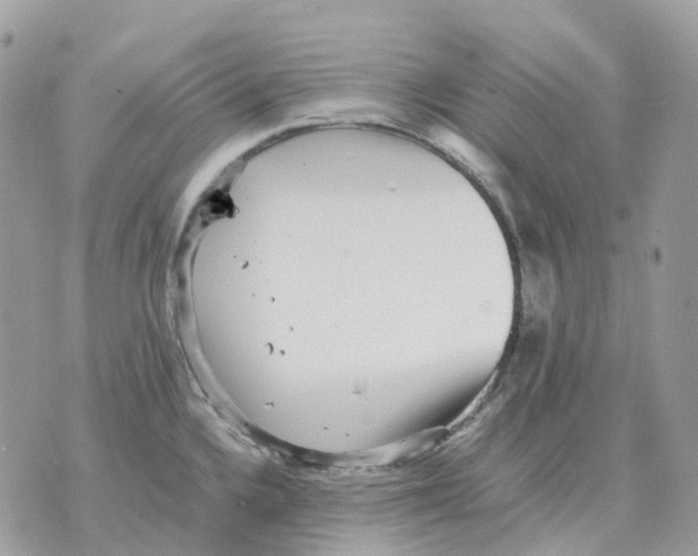 X0000070371336200607072119