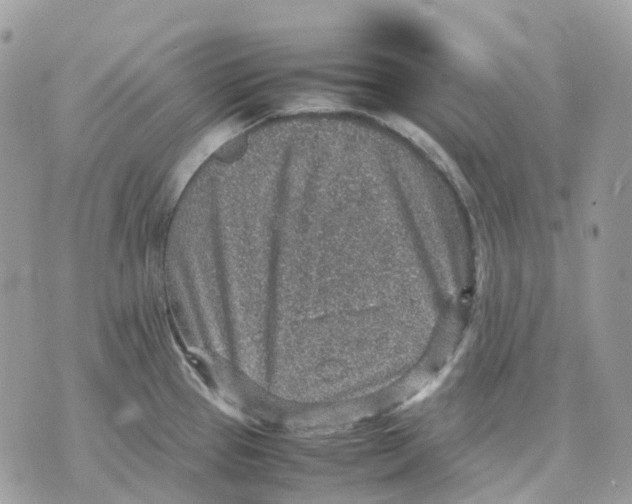 X0000070371337200607072119